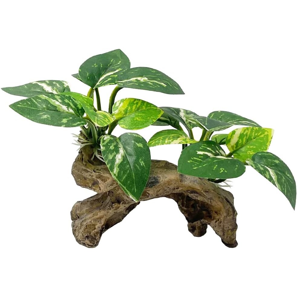 Realistic Driftwood Aquarium Decor with Pothos Plants — view 11