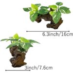 Realistic Driftwood Aquarium Decor with Pothos Plants — view 6