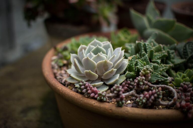 Common Hydroponic Mistakes and How to Avoid Them
