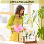 Desktop Hydroponic Plant Terrarium - image 3