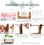 Desktop Hydroponic Plant Terrarium - image 6