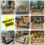 Desktop Hydroponic Plant Terrarium - image 7