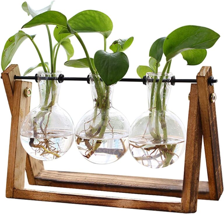 Desktop Hydroponic Plant Terrarium with Wooden Stand & 3 Bulb Vases