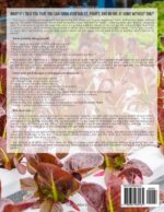 Hydroponics For Beginners Guide - image 2