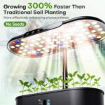 12-Pod Hydroponic System - image 3