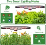 Smart Hydroponic Growing System - image 3