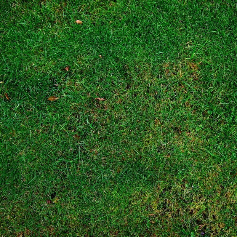 A North Texas Lawn Calendar: What to Do and When