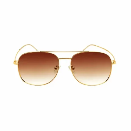 Brown Men's Classic Gold Aviator Sunglasses - Hình 2