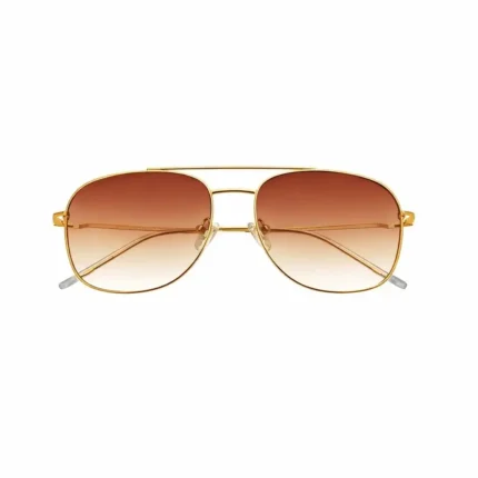 Brown Men's Classic Gold Aviator Sunglasses