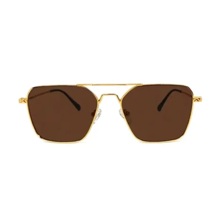 Men's Elite Gold Frame Square Aviator Sunglasses - Hình 2