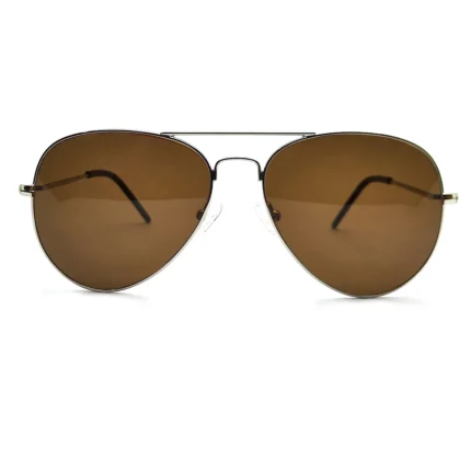 Rich Women's Classic Silver Aviator Sunglasses - Hình 2