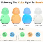 Enlightened Monk Breathing Light with Guided Meditation — view 3