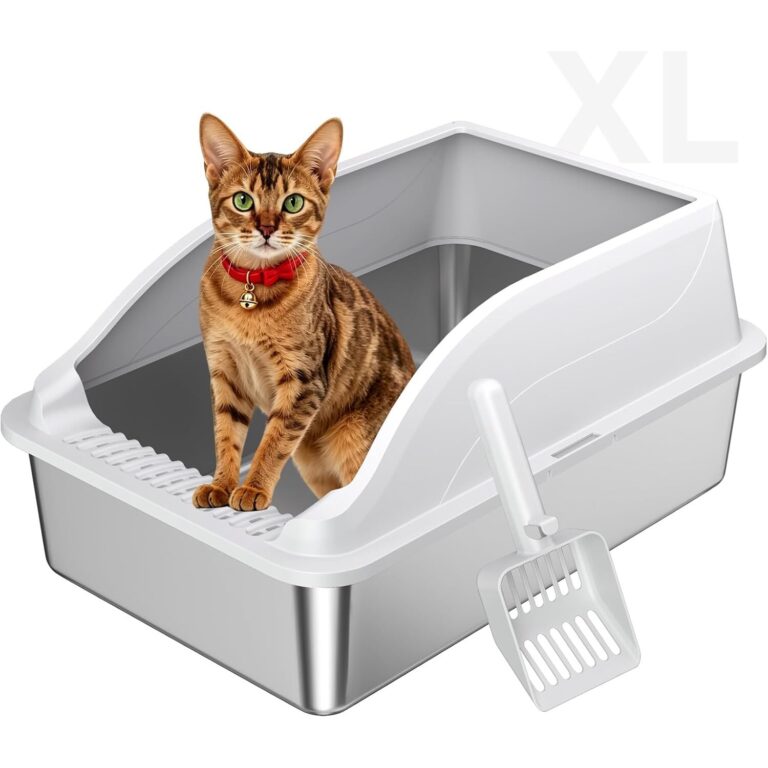 XL Top Entry Litter Box with Angled Filter & Scoop