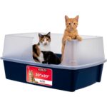 XXL Giant Cat Litter Box with Hood for Large Breeds
