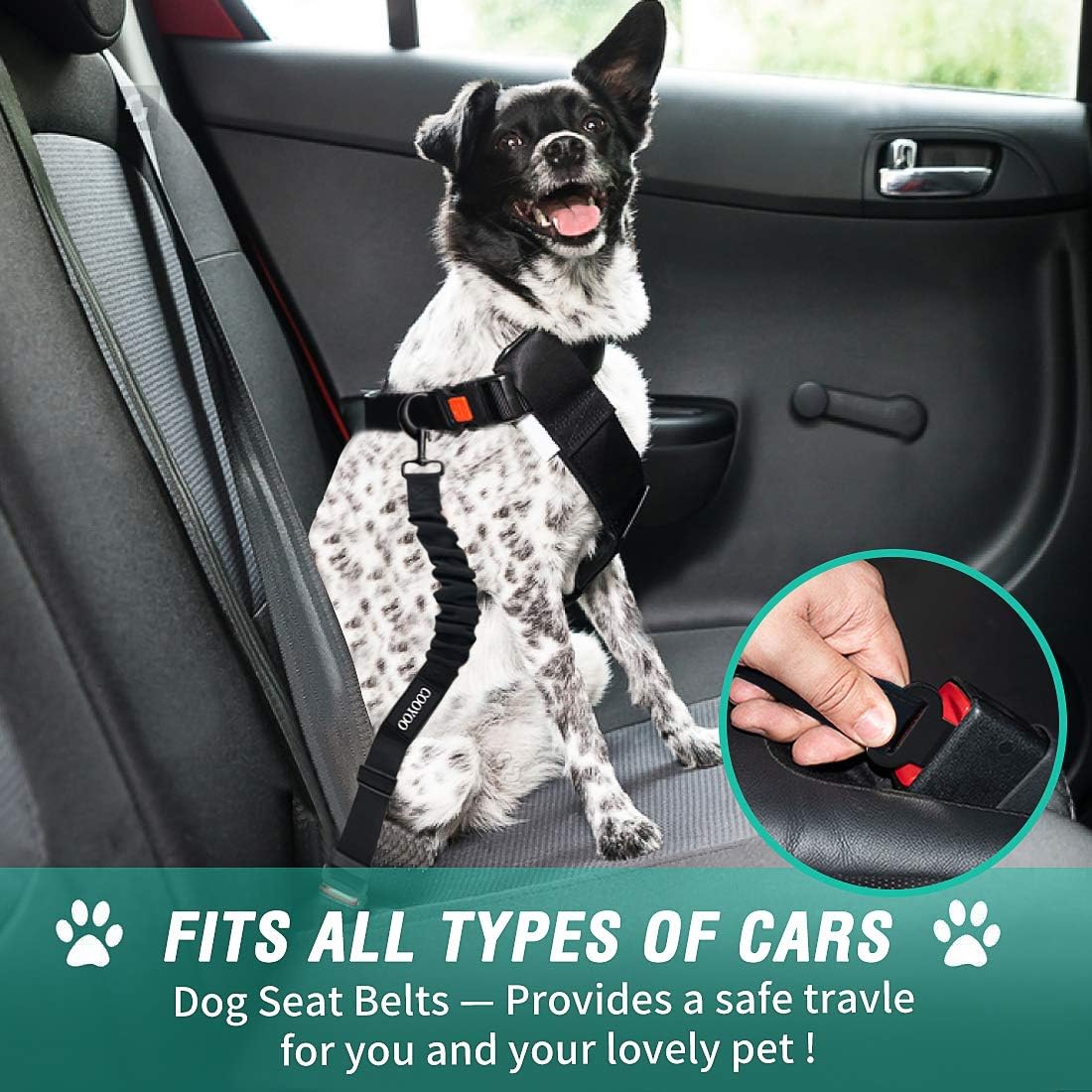 Petopia Black Bungee Dog Seat Belt - Hình 2
