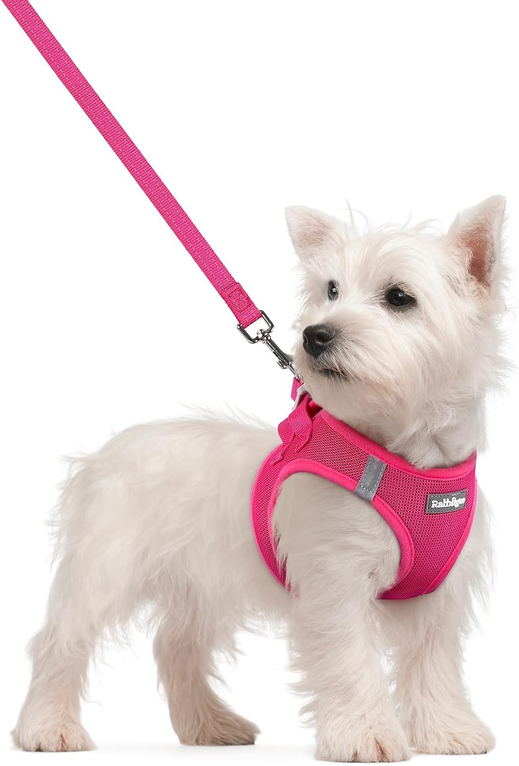 Petopia Pink Mesh Dog Harness