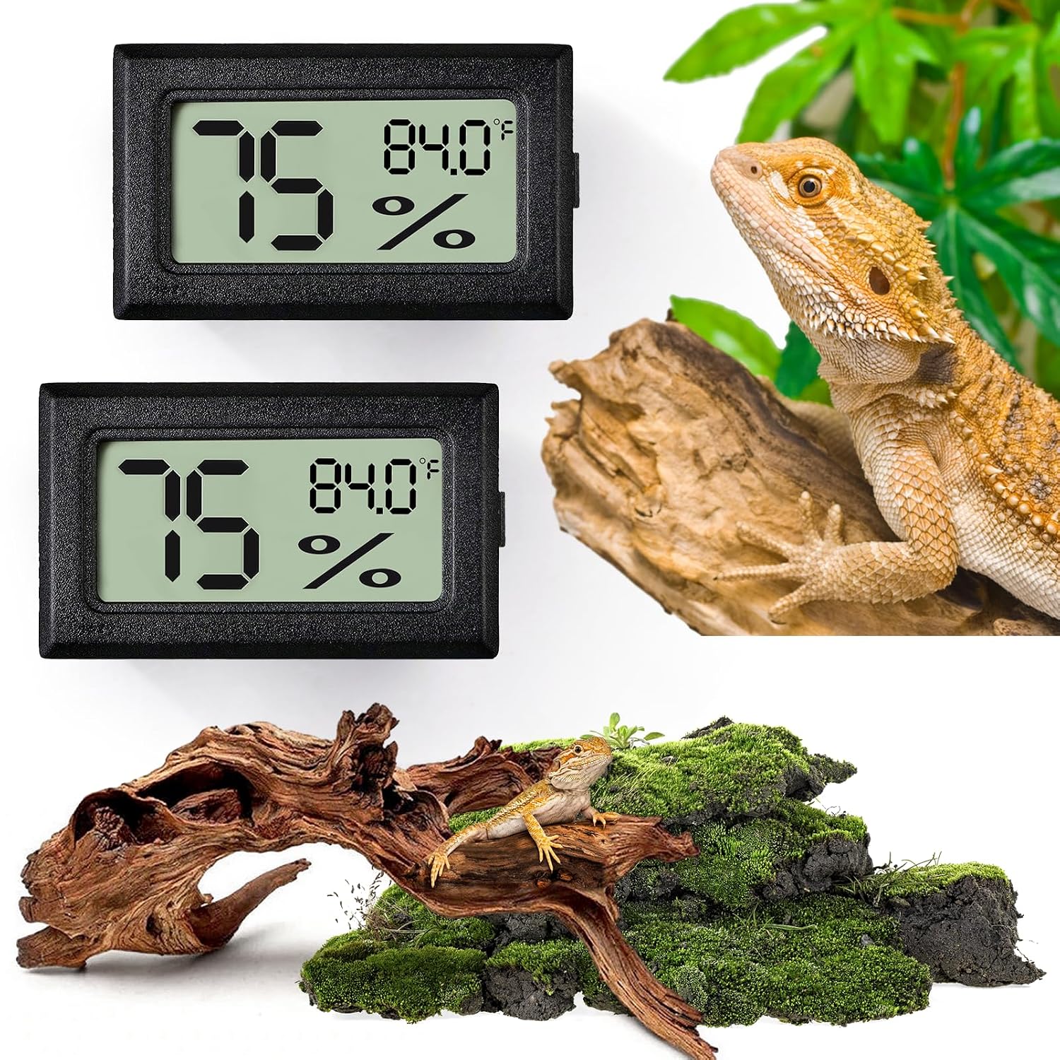 Petopia Digital Reptile Terrarium Thermometer Hygrometer 2-Pack