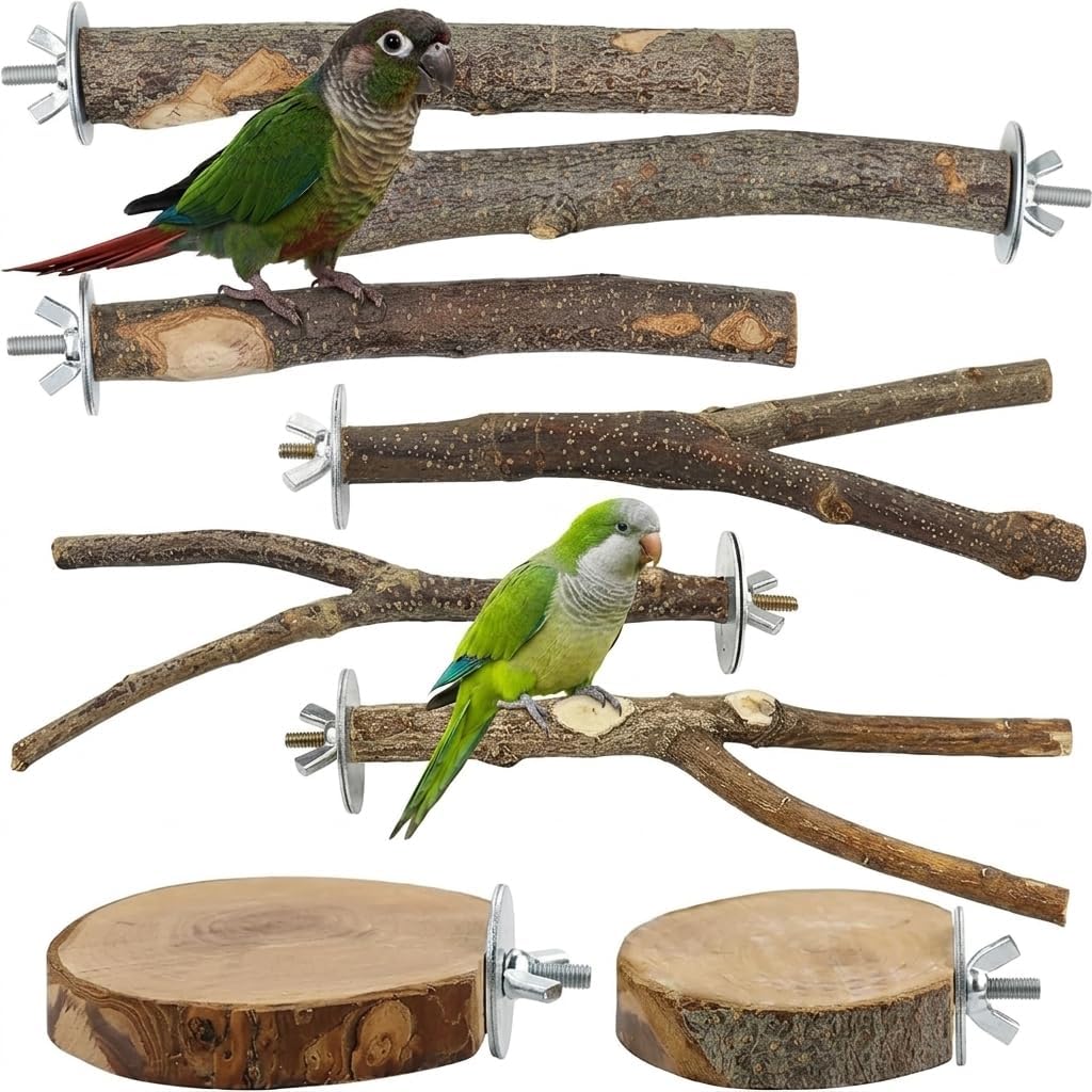 Natural Wood Bird Perch Set