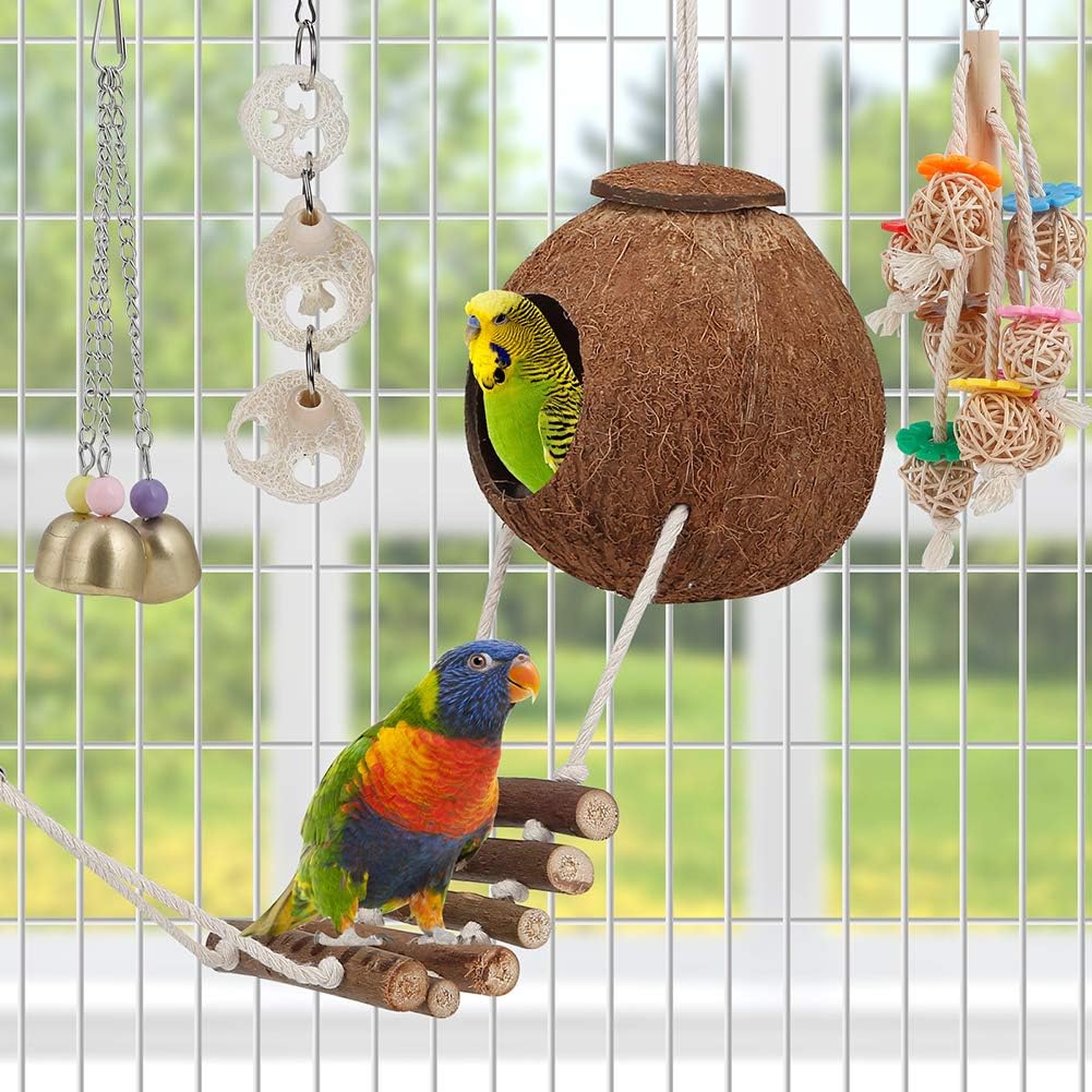 Natural Bird Toys Set with Coconut Nest - Hình 2