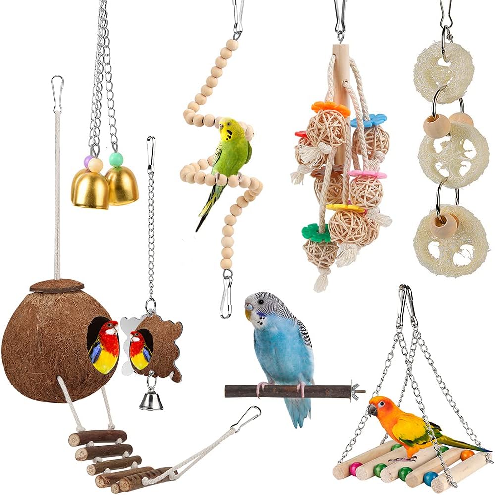 Natural Bird Toys Set with Coconut Nest