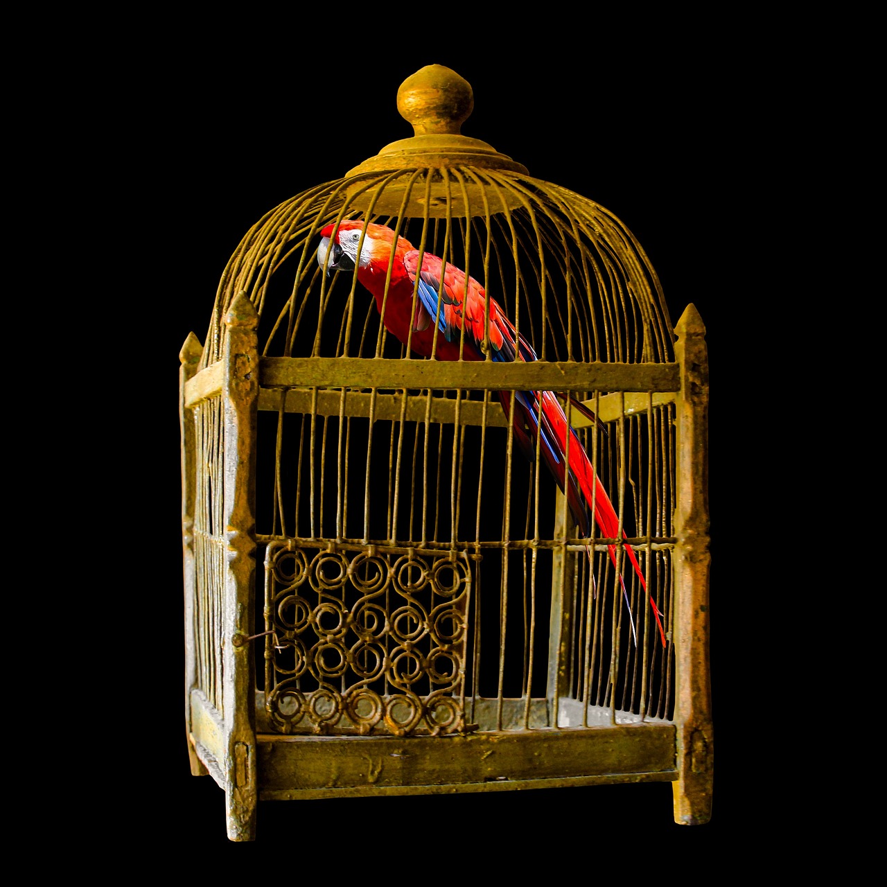 Bird cage with several hanging toys