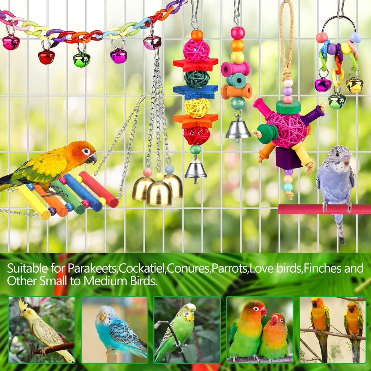 Vibrant Parrot Cage Play Toys - Hình 3
