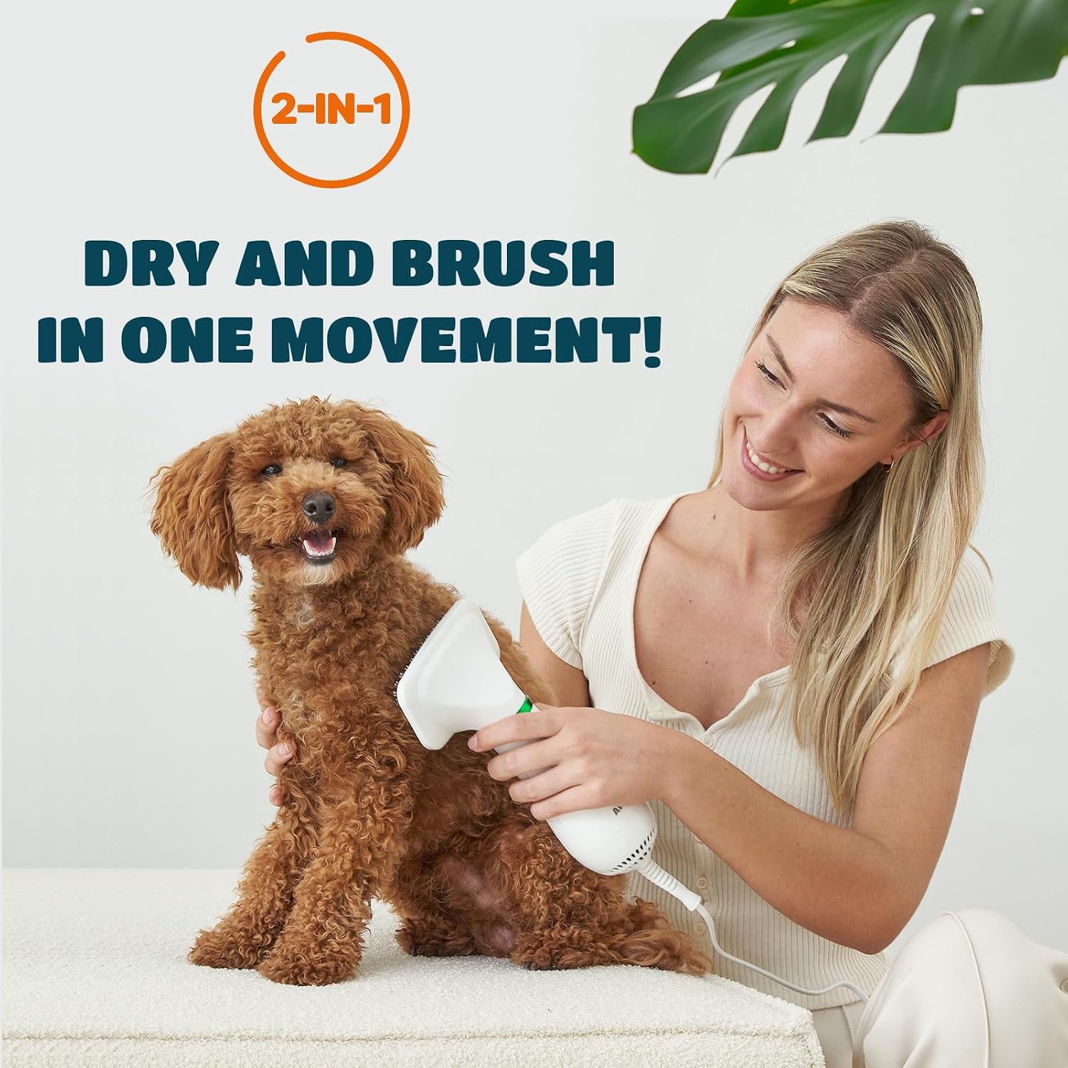 2-in-1 Pet Hair Dryer & Grooming Brush - Hình 2