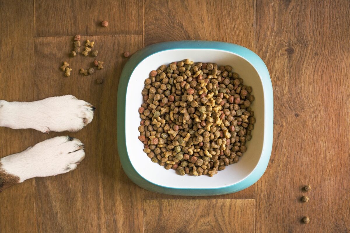 Elevated Bowls: When They Help and When They Do Not