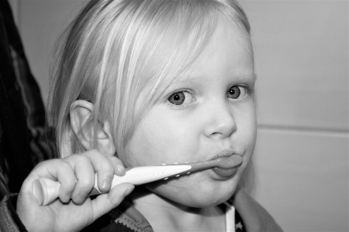 Home Dental Care for Dogs and Cats