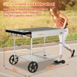 Portable Pizza Oven Cart