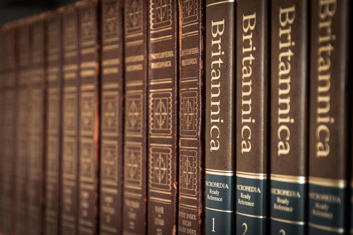 Reading a Collectible Box: Generation, Series and Pet Numbers