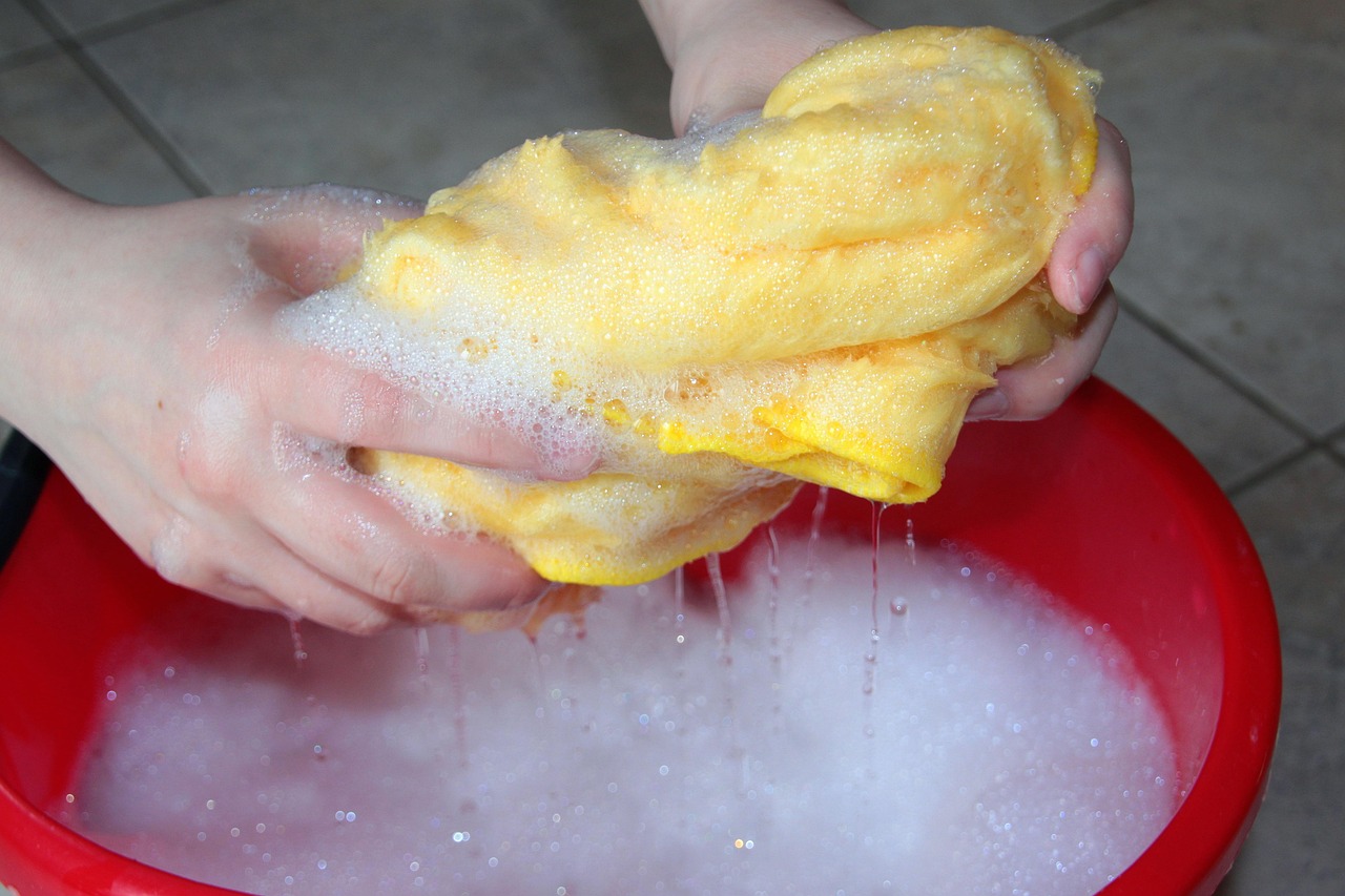 Cleaning supplies for a litter pan