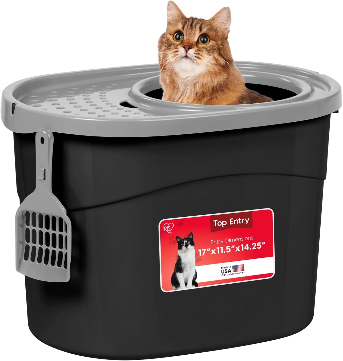 Safari Pets Top-Entry Litter Box with Grated Lid and Scoop
