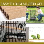 Natural Sanded Bird Perches – Multi-Size Parrot Cage Dowels — view 4