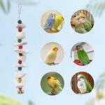 Natural Cuttlebone Bird Chew Toy – Natural Cuttlebone & Wood Bird Chew — view 4