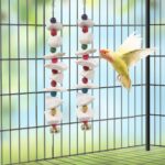 Natural Cuttlebone Bird Chew Toy – Natural Cuttlebone & Wood Bird Chew — view 5