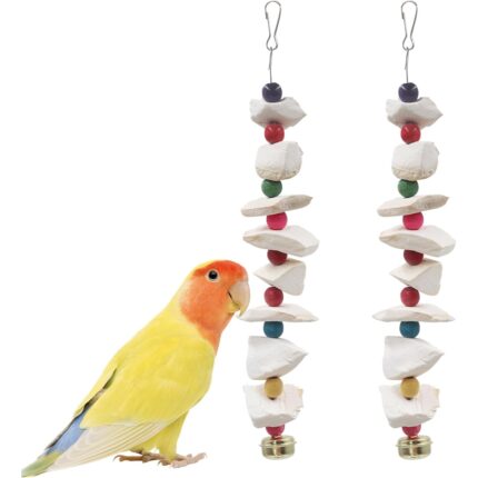 Natural Cuttlebone Bird Chew Toy – Natural Cuttlebone & Wood Bird Chew