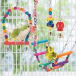 Colorful Wooden Bird Toys & Perches Set for Parakeets — view 6