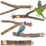 Natural Apple Wood Bird Perches & Platform Set for Small Birds — view 10