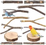 Natural Apple Wood Bird Perches & Platform Set for Small Birds — view 12