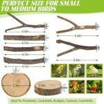 Natural Apple Wood Bird Perches & Platform Set for Small Birds — view 3