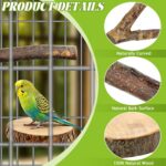 Natural Apple Wood Bird Perches & Platform Set for Small Birds — view 6