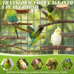 Natural Apple Wood Bird Perches & Platform Set for Small Birds — view 7