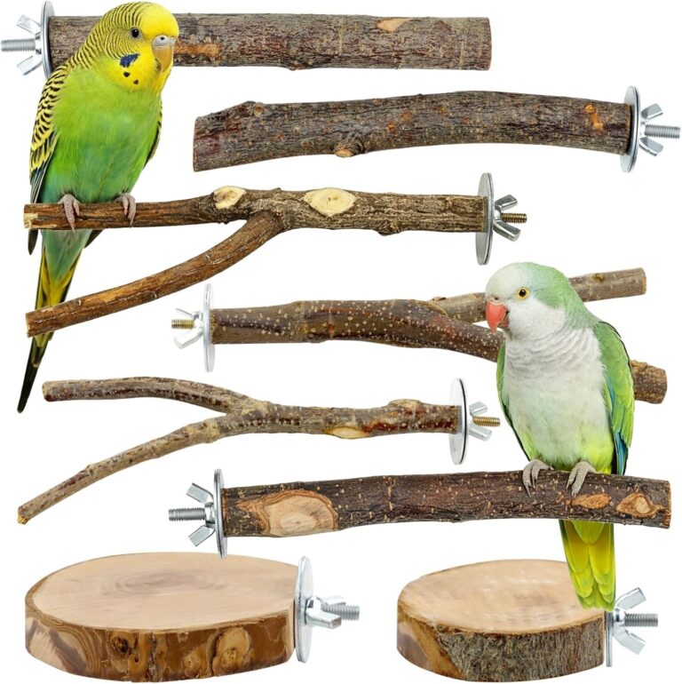 Natural Apple Wood Bird Perches & Platform Set for Small Birds