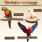 Natural Wood Bird Perch Set — view 5