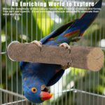 Natural Wood Bird Perch Set — view 6