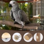 Natural Wood Bird Perch Set — view 7