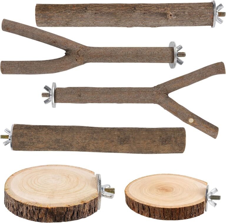 Natural Wood Bird Perch Set