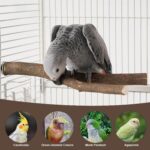 Natural Wood Bird Perch Set — view 8