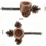 Apple Wood Foraging Bowl – Premium & Natural Pine Cones Set — view 4